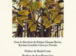 Ouvrage Plurilinguisme et littéracie face à la diversité linguistique et culturelle